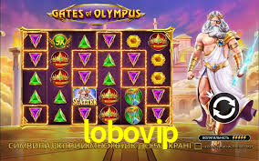lobovip